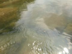 -鸳鸯溪漂流