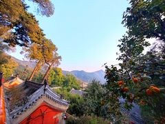 -潭柘寺景区