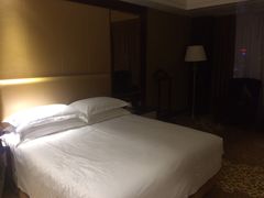 -合肥丰大国际大酒店