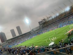 -泰达足球场