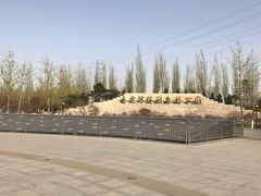 -永定河休闲森林公园