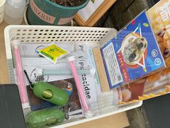 -爱侣宠医·鹦鹉专科·小型哺乳类·异宠专科(灵石路店)