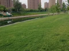 -坝河休闲公园