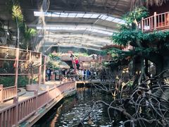 -南宫五洲植物乐园