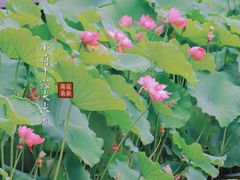 -成都市文化公园