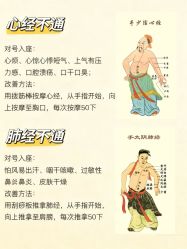 点击看大图 -玛莲朵·海菲秀冰珀科