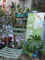 -皇冠瑜伽·普拉提·疼痛康复