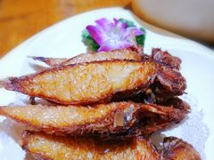 香煎英哥鱼-金穗园·砂锅粥.醉鸡煲火锅(长寿路店)