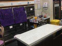 -宠爱国际动物医院·疑难骨科·心肾内科·皮肤科(太阳宫店)