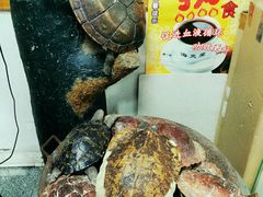 -海天堂(玉带濠店)