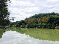 -九鲤湖风景区