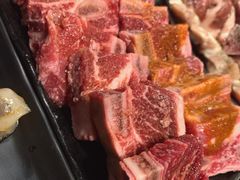 -熊出没日本烧肉放题