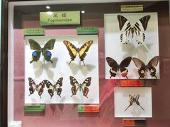 -上海昆虫博物馆