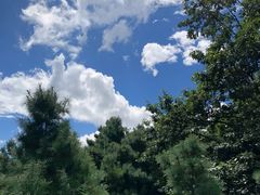 -苍山感通索道