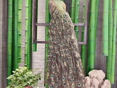 -雀舞云南菜(天津天河城购物中心店)