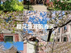 -上海瑞金洲际酒店