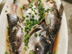 -石门豆腐王(九中街店)