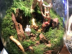 -双季花艺园艺市场(浦东店)