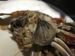 -多伦多海鲜自助餐厅(百盛购物中心三阳店)