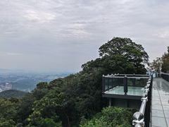 -黄埔油麻山森林公园
