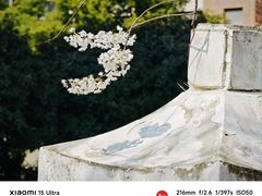 -堤角公园