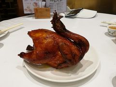 -稻香酒家·33年老字号·港式粤菜(富邦中心店)