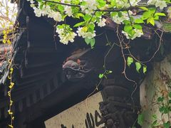 -绍兴鲁迅故里·沈园景区