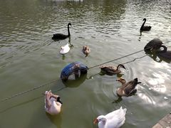 -无锡动物园·太湖欢乐园