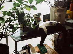 -隹木咖啡馆(宝龙广场店)