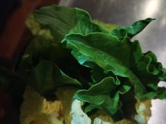 -探窝·竹笙椰子鸡(杨箕店)