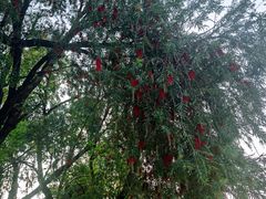 -人民公园(罗湖区)