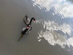 景点-腾冲北海湿地