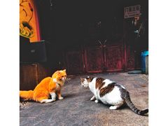 -黄兴南路步行商业街