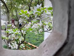 -拙政园
