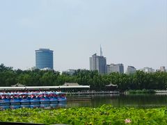 -莲花池公园