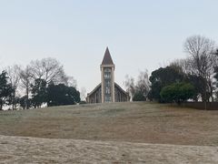 -成都保利公园皇冠假日酒店(熊猫基地店)