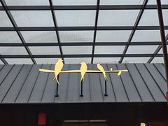 -单家老院·院子里的青岛菜(沙子口店)