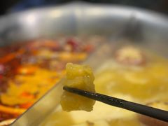 花胶锅-湊湊火锅·茶憩(打浦桥日月光店)