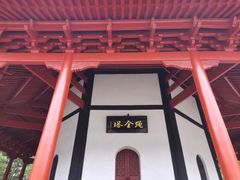 -绳金塔