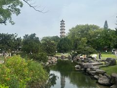 -江心屿景区