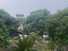 -吴山景区