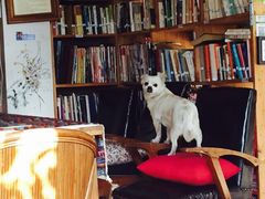 北方国际青年旅舍-哈尔滨北方国际青年旅舍(中央大街店)