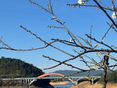 -广州市流溪河国家森林公园