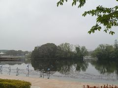 -新江湾城公园