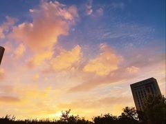 -山东大学(威海校区)