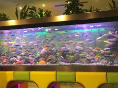 -御池园(顾村公园店)