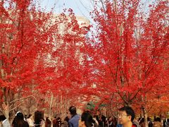 -辽宁大学(崇山校区)