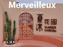 -龙坞茶村