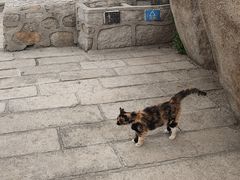 -北京凤凰岭