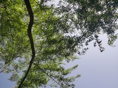 -秦岭终南山世界地质公园翠华山景区
